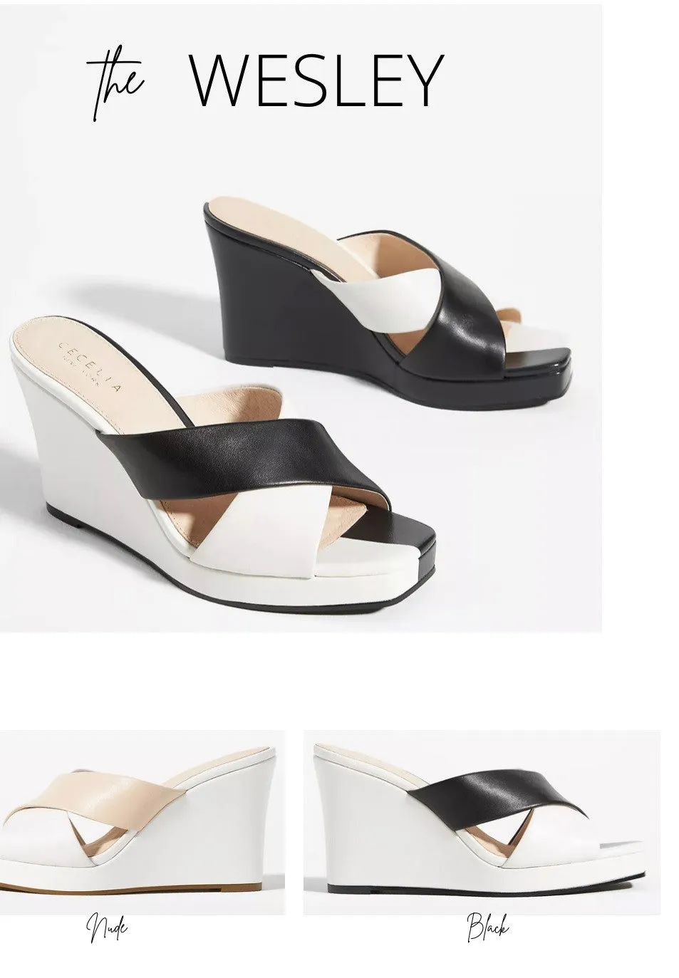 Cecelia New York Wesley