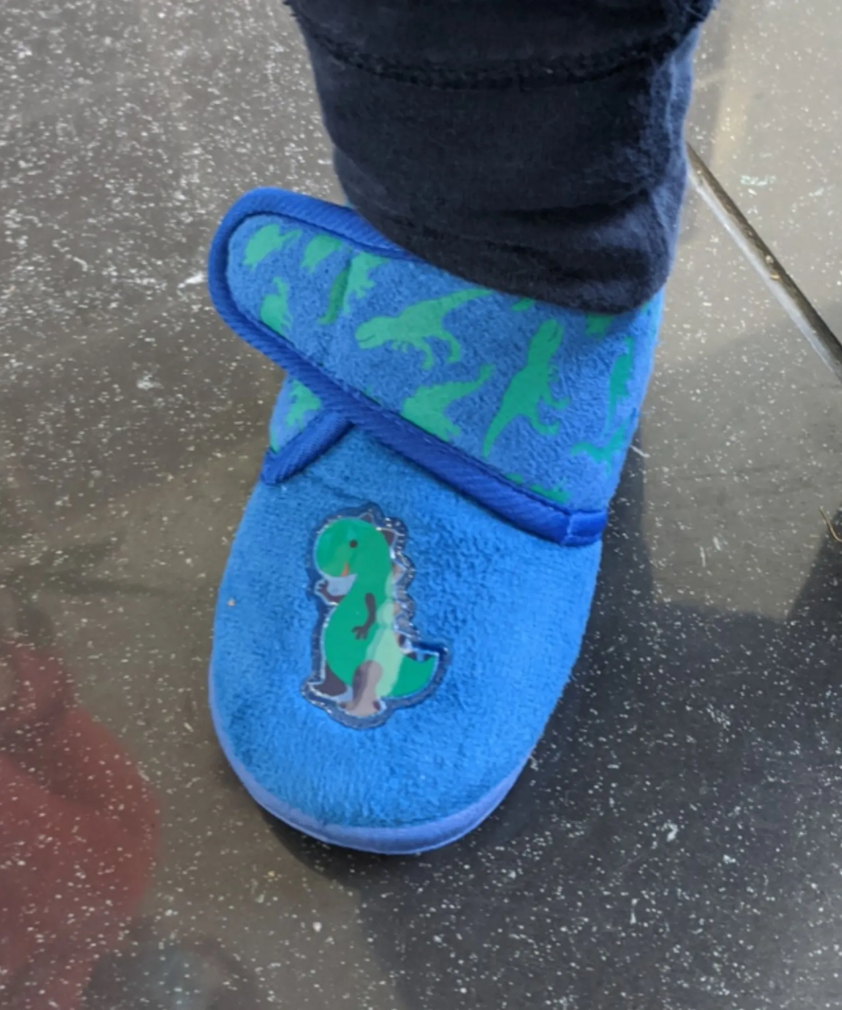 Chipmunks Roar Felt Dino Navy Green Boys Slippers